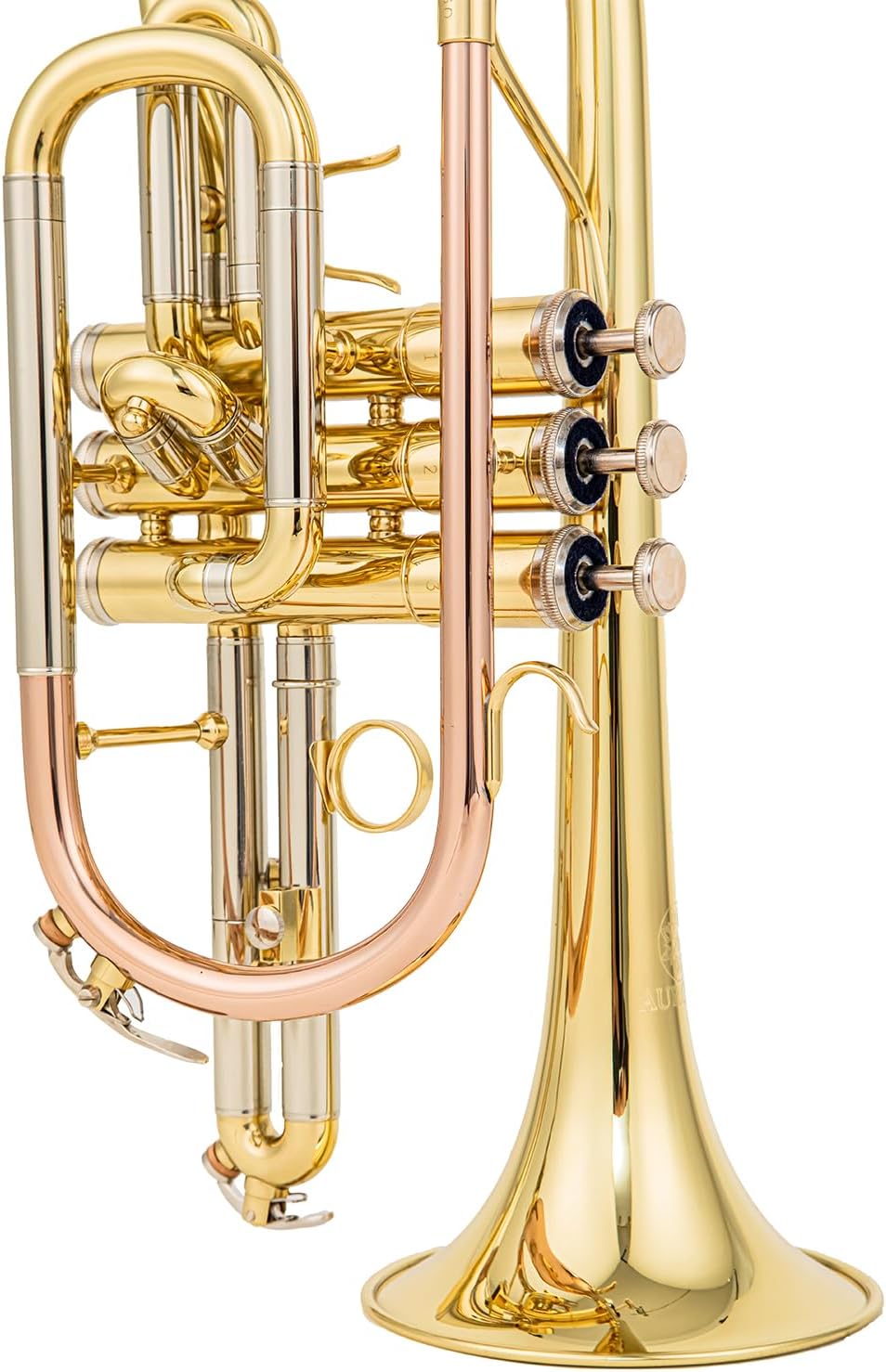 aurousus bb cornet acr 8330 for beginners intermediate players stainless steel valves ml bore gold brass leadpipe 120mm bell lacquered lightweight durable