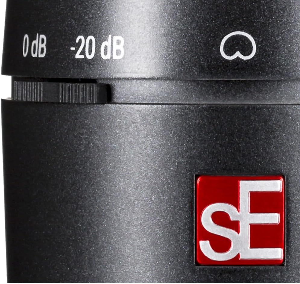 sE Electronics X1 A Large-Diaphragm Condenser Microphone Bundle w/Pig Hog PHM10 8mm Mic Cable Polishing Cloth