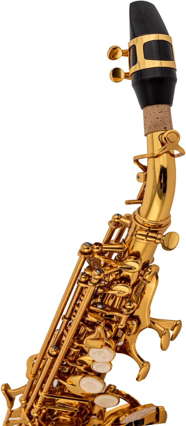 SB-G5 curved Sopranino Saxophone Yellow Brass Body & Keys Gold Lacquer Finish Low Bb - High F# (Gold)
