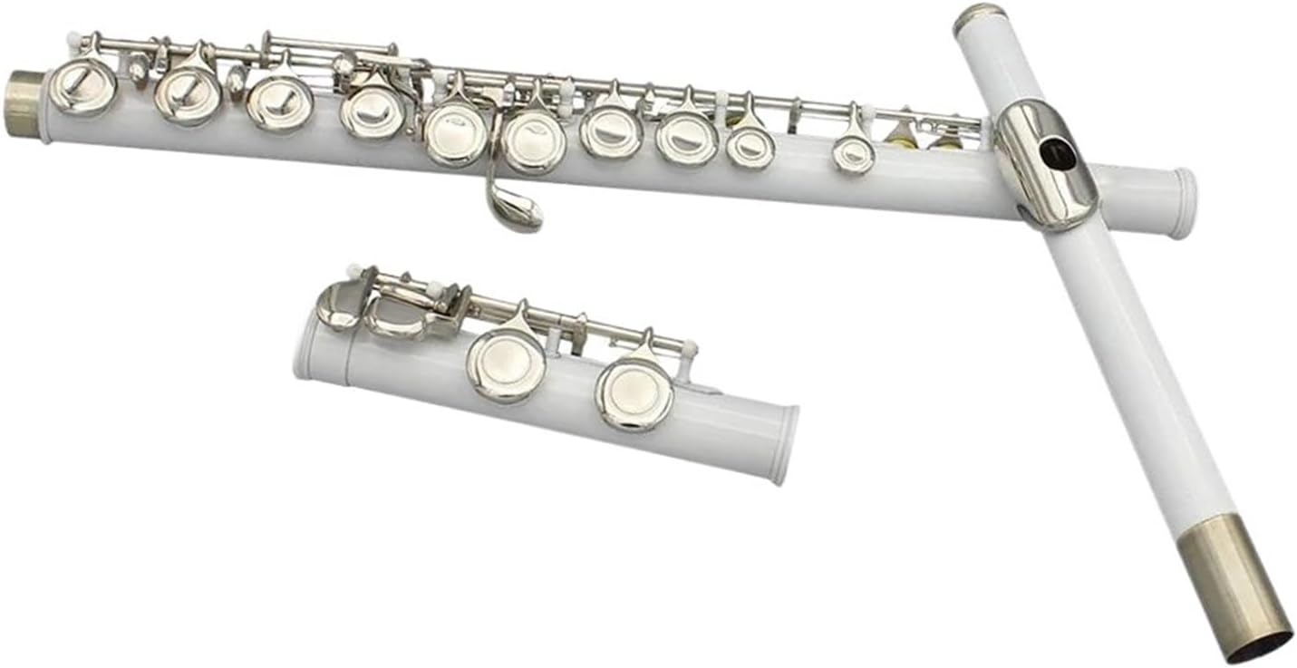 16 Closed Open Holes C Key Flute With Case For Student Beginners Woodwind Instrument