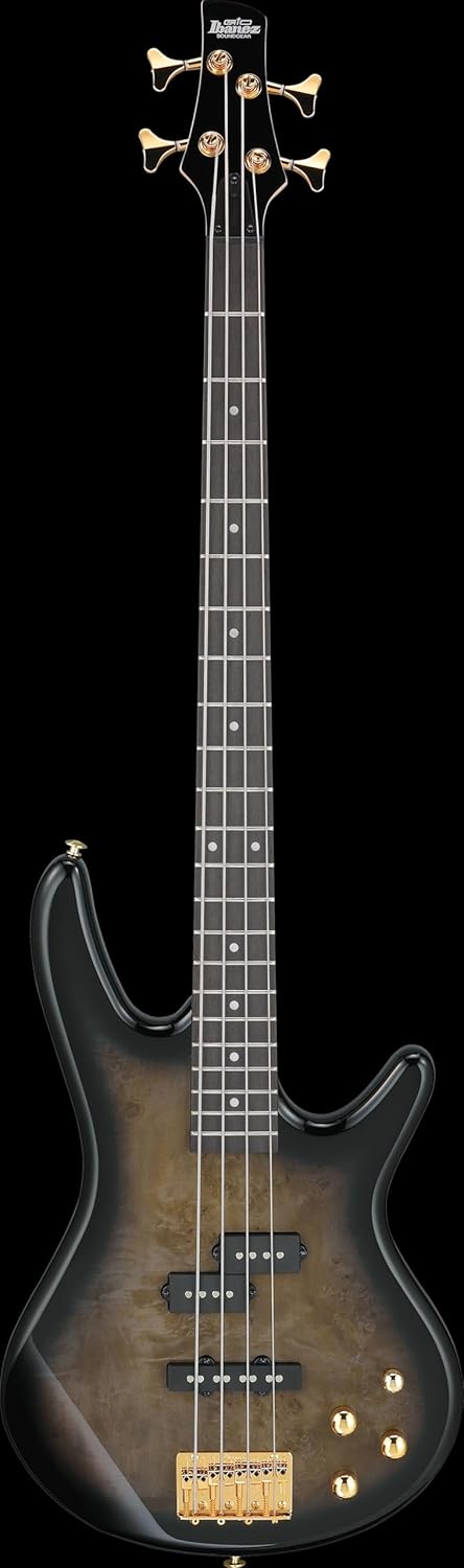 Ibanez Gio GSR200PC 4-String Right-Handed Electric Bass Guitar with Okoume Body, Maple Neck, and Purpleheart Fretboard (Transparent Pale Black Burst)