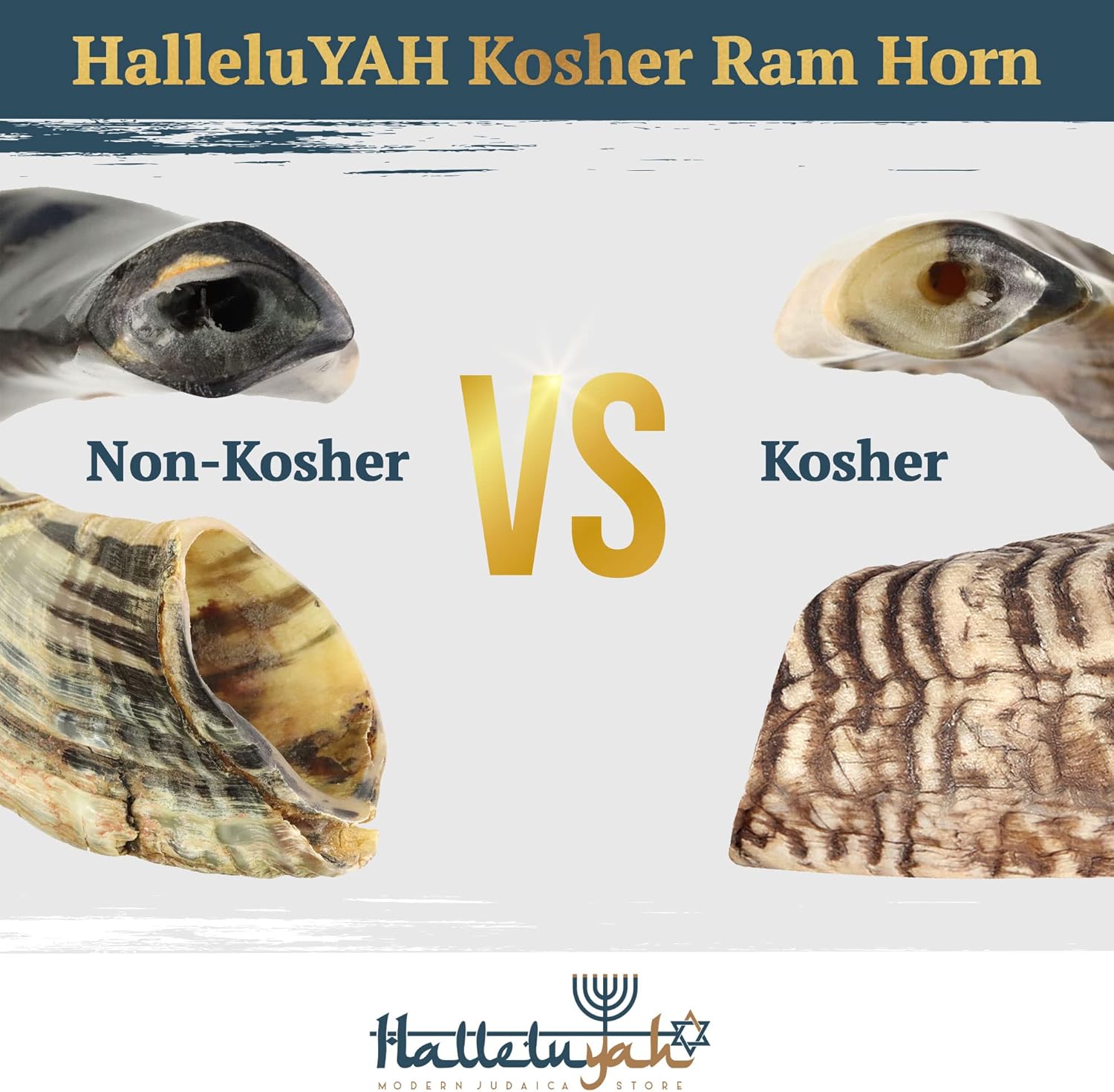 HalleluYAH Shofar From Israel: 20