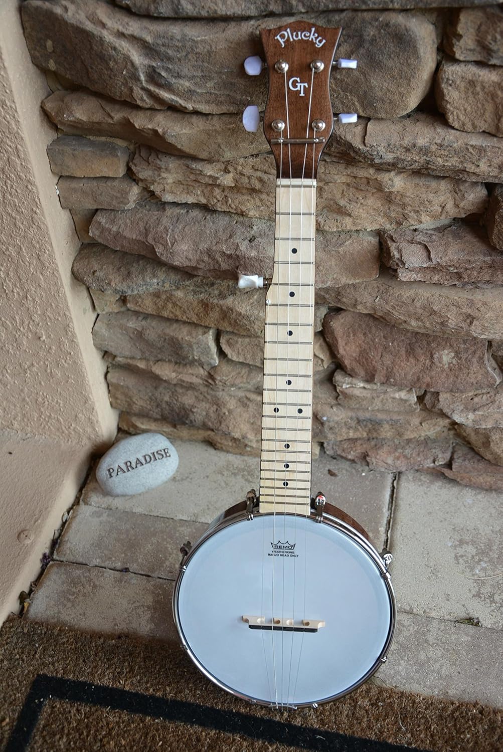 Gold Tone 5-String Travel Banjo w/Gig Bag