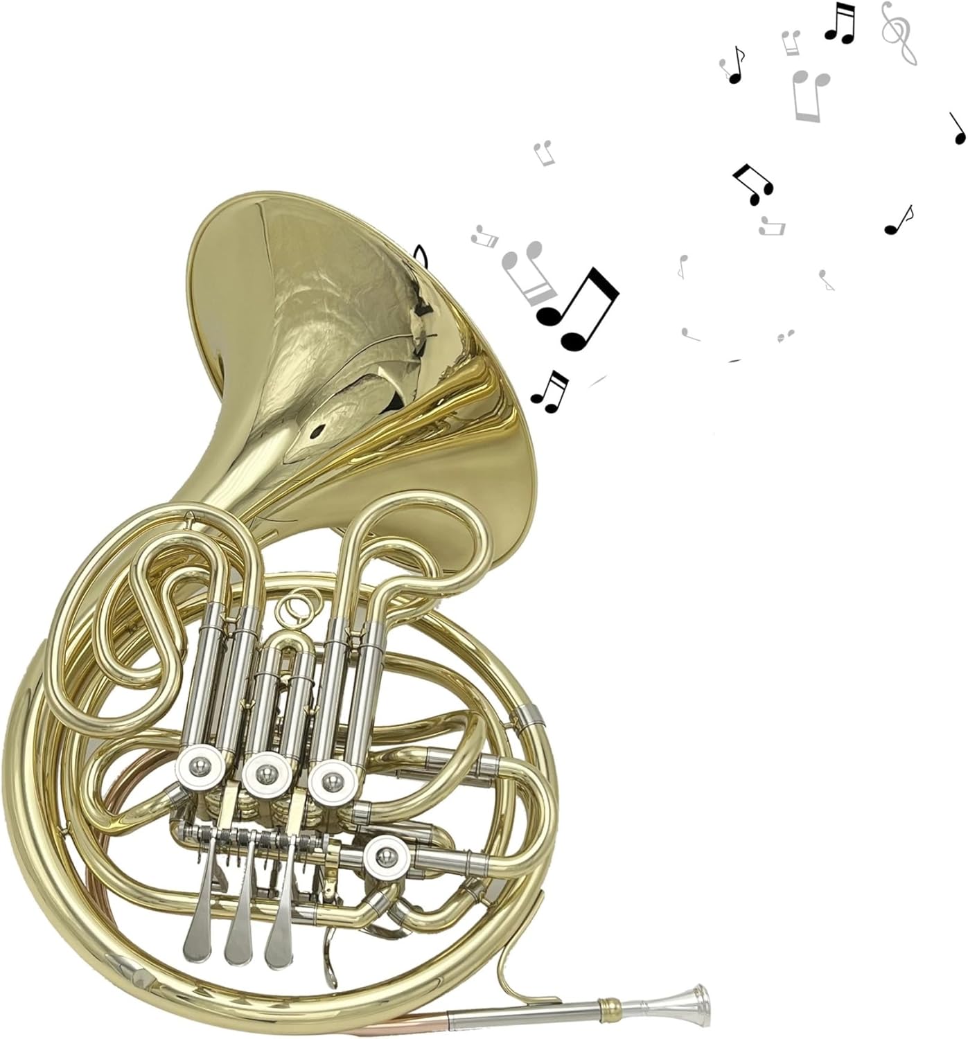 4 key double row French horn standard instrument suitable for beginners