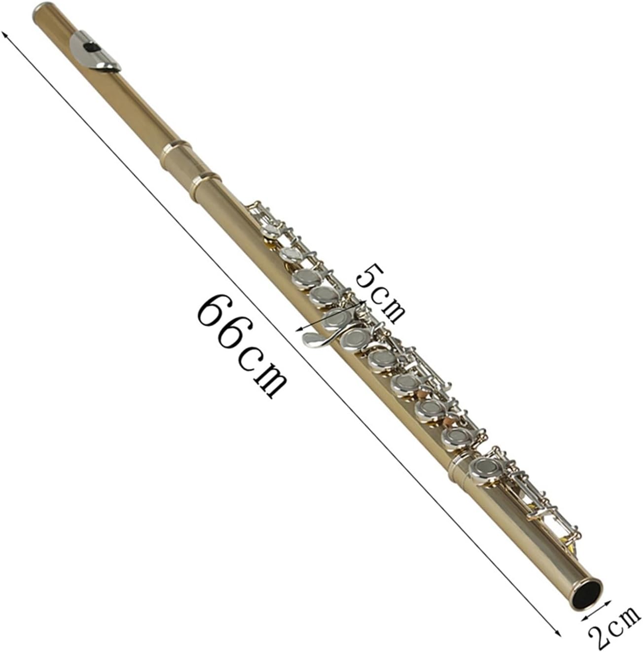 Flute Gold-Plated Silver Keys 16 Holes Flute Woodwind Instrument Closed Hole E Key Concert Flute with Box Flutes Musical Instruments (Color : Silver)
