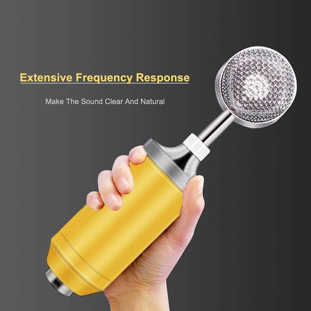 Microphone Condenser Microphone Set, Recording Microphone Microphone Set for Chatting and Singing, Blue