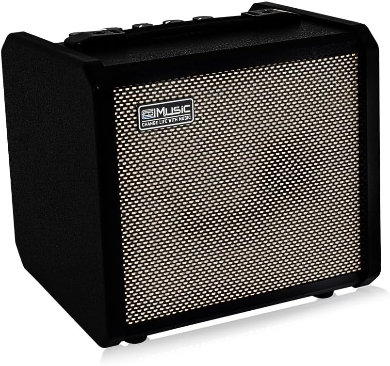 TS20 Bass Combo Amp -20W Suitable for Bass Guitar
