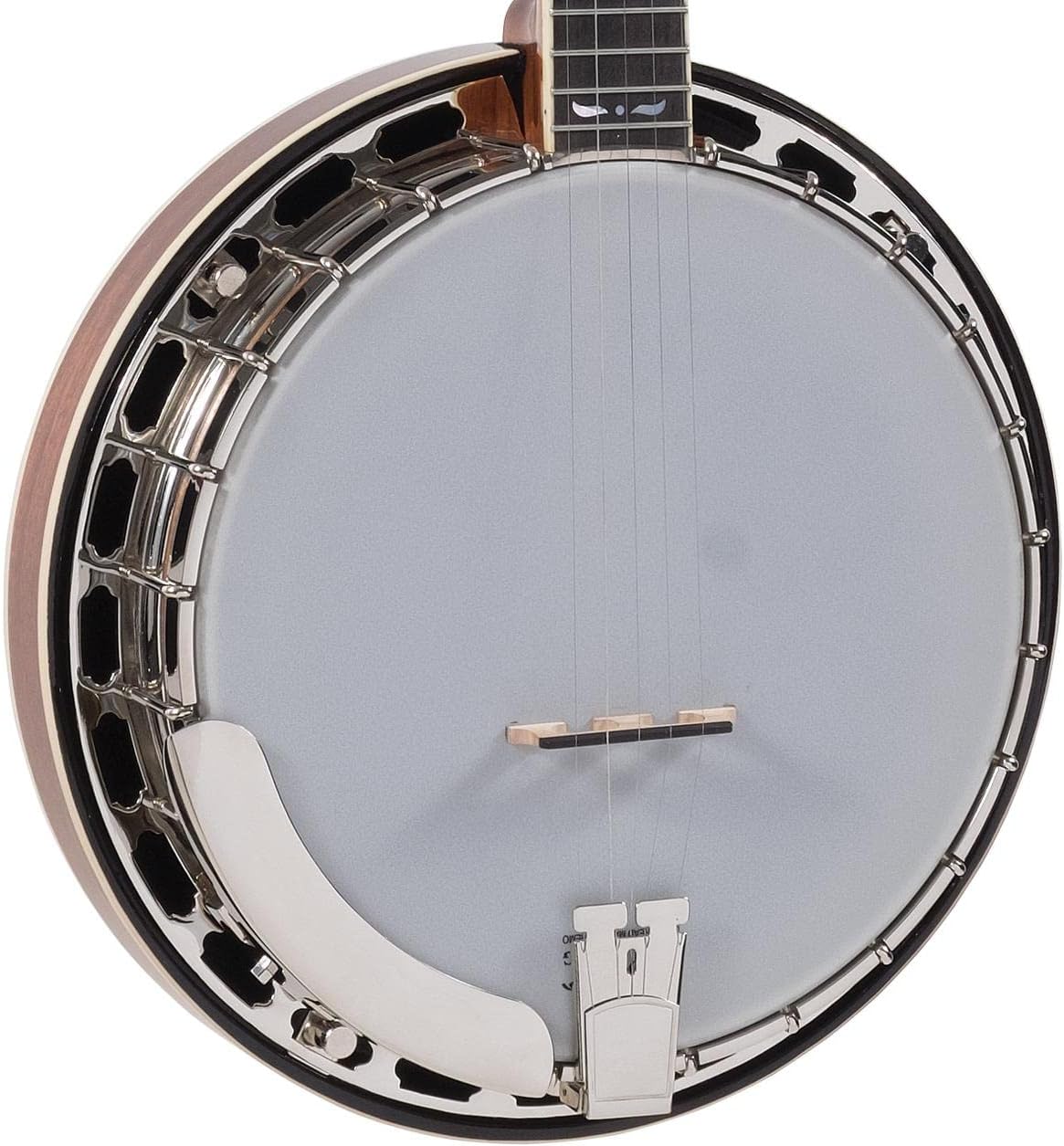 Recording King RK-R36-BR Madison Tone Ring Banjo, Mahogany Resonator