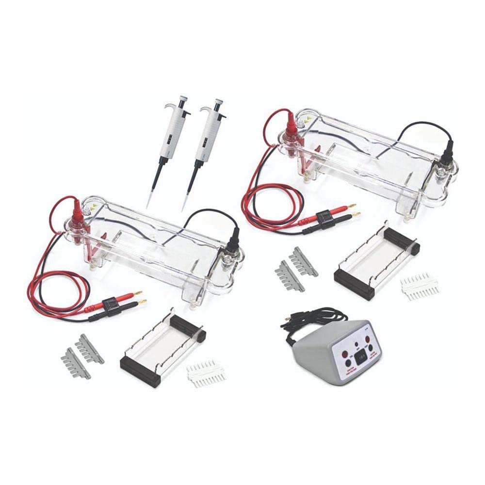 Walter Products EL-100-16 EL100 Electrophoresis Dual Station