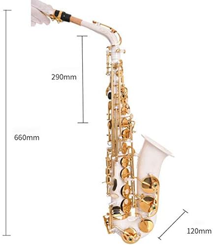 Alto Saxophone - E-Flat Alto Saxophone/Wind Instrument, Ceramic White