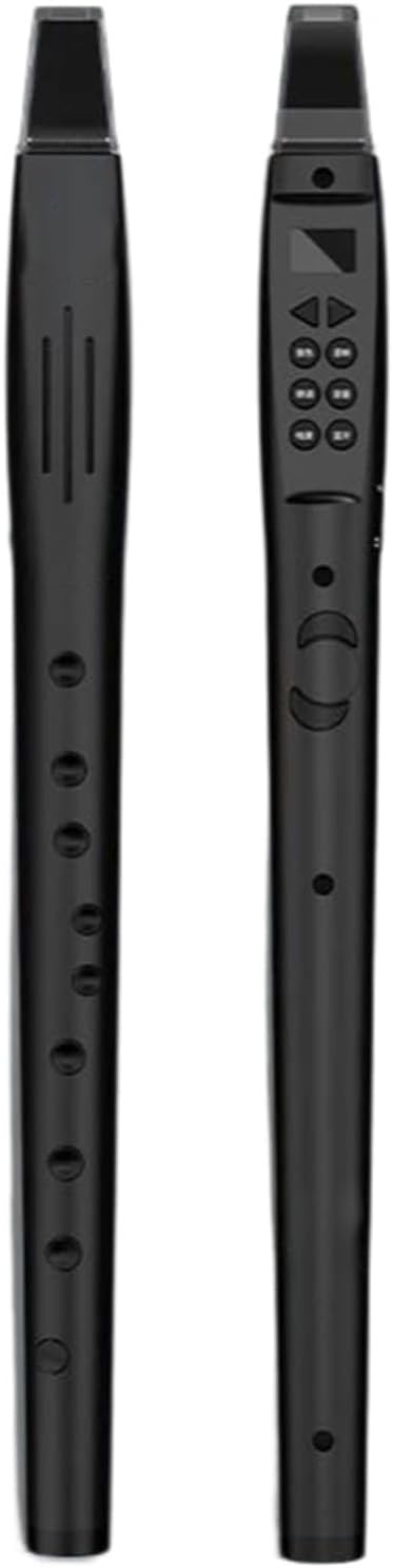 Professional Flute 8 Hole Flute Woodwind Instrument(Bk)