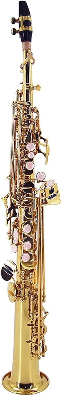 Straight Bb Soprano Saxophone Brass Lacquered Gold Woodwind Instrument with Carrying Case Reed Cleaning Brush Cloth
