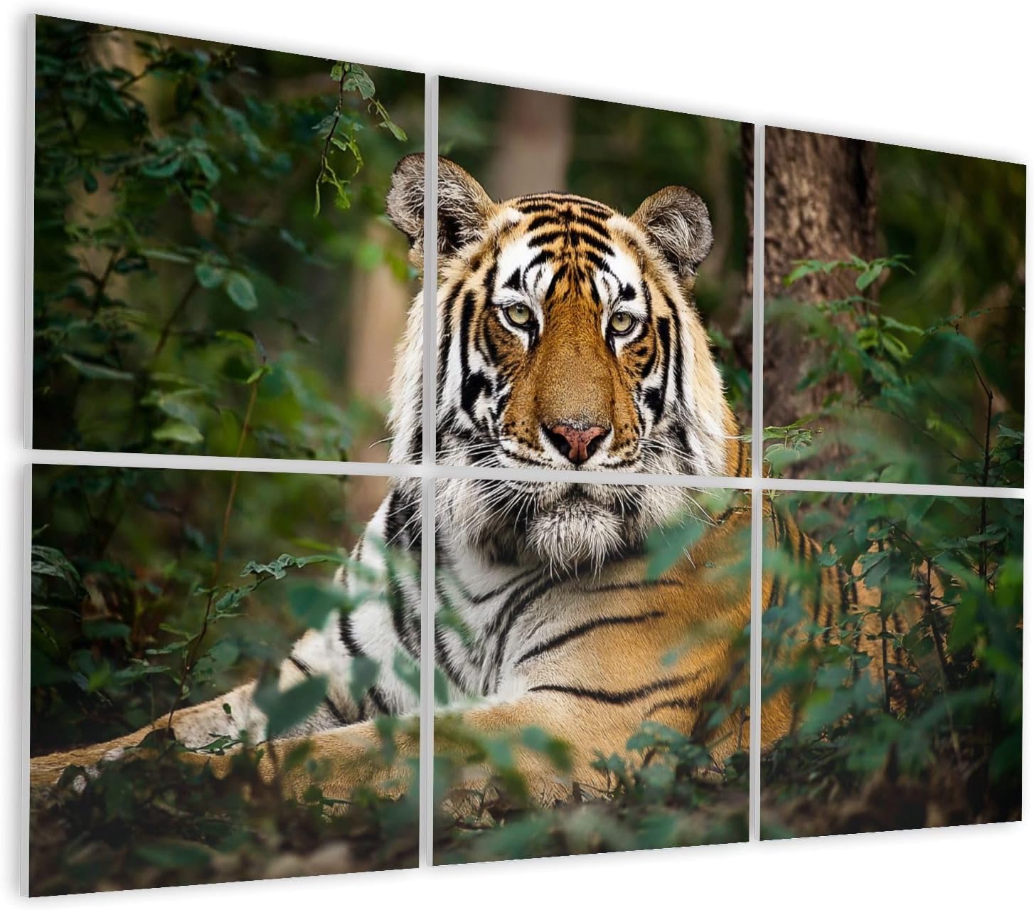 6 Pack Art Acoustic Panels Self Adhesive Tiger portrait Decorative Soundproof Wall Panels Sound Absorbing Panel 48