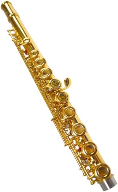 Flute Gold-Plated Flute Instrument in C Key 16-Hole Closed-Hole with E-Key Tuned Woodwind Instrument Gold-Plated Flutes Musical Instruments