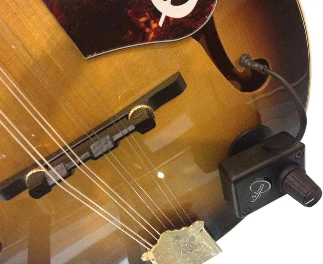 Mountain Dulcimer Pickup with Flexible Micro-Gooseneck by Myers Pickups