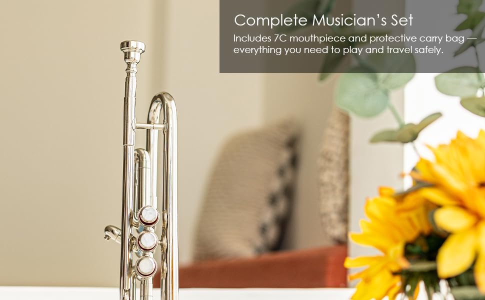 Queen Brass Bb Trumpet Chrome Finish Brass Body with 7C Mouthpiece and Hard Case for Beginners and Students Band Rehearsals School Performances Practice