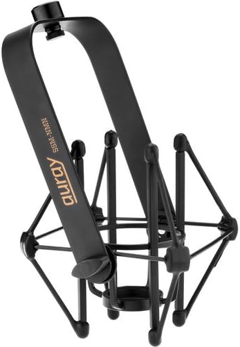 Neumann TLM-102 Large Diaphragm Studio Condenser Microphone (Black) with Suspension Shockmount & Pop Filter