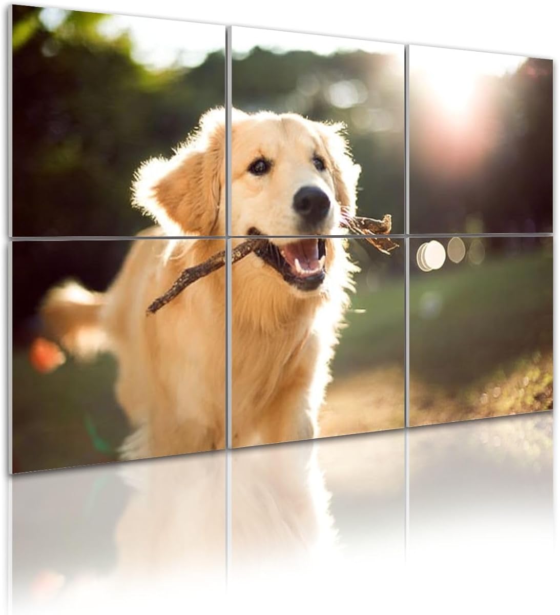 6 Pack Art Acoustic Panels Cute happy dog playing stick Sound Absorbing Panel 48