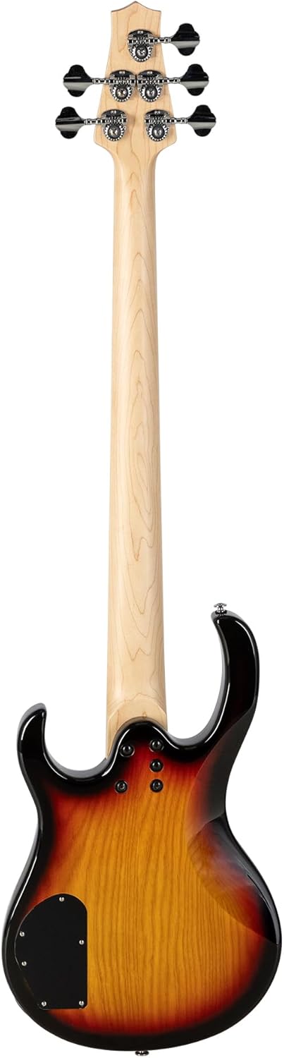 H. Jimenez 5 String Glossy Vintage Burst Bass Guitar With Deluxe Padded Gig Bag (LBS5-VB)