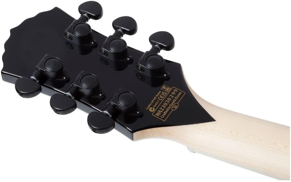 Schecter Wylde Goreghen