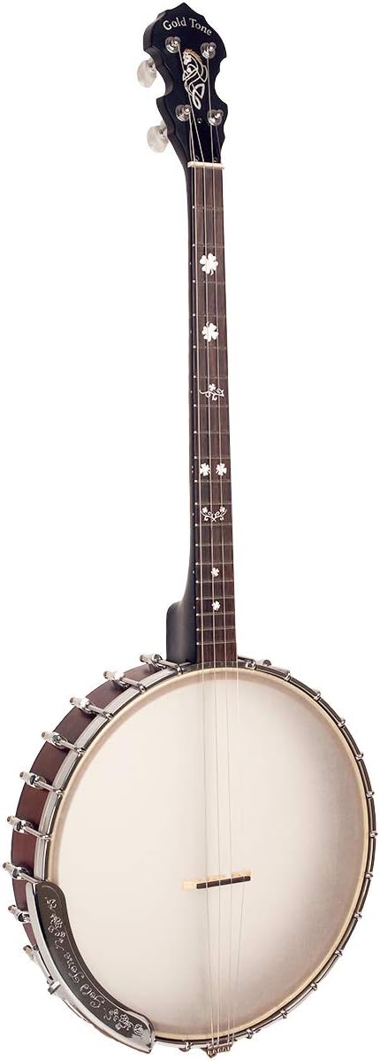 Gold Tone, 4-String Banjo, Right (IT-19)