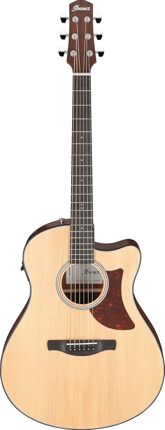 Ibanez AAM50CE Advanced Acoustic Auditorium Acoustic-electric Guitar - Open Pore Natural