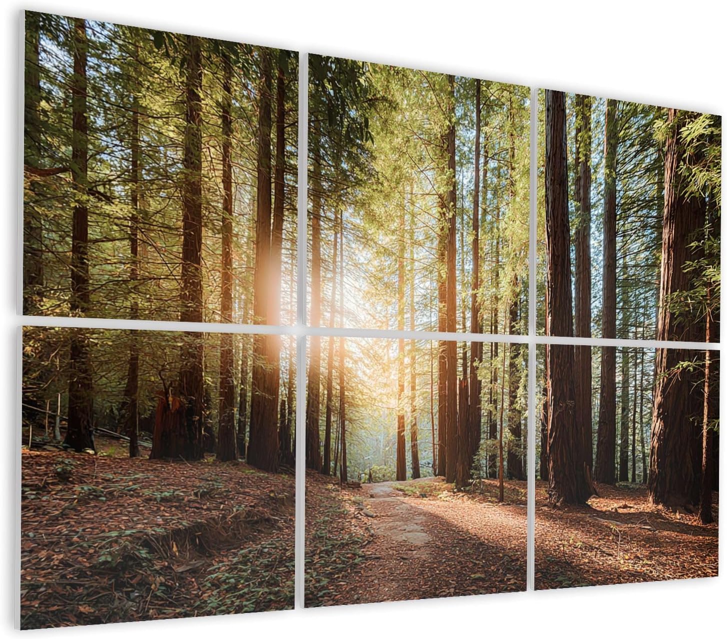 6 Pack Art Acoustic Panels Self Adhesive Redwood forest Decorative Soundproof Wall Panels Sound Absorbing Panel 48