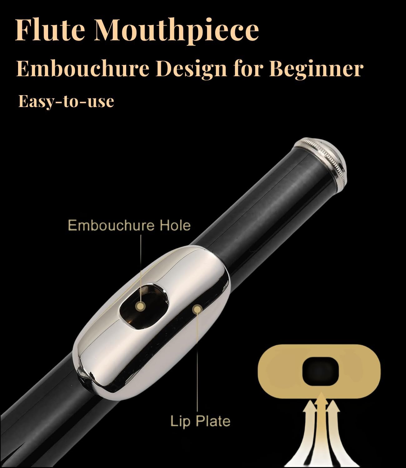 C Flute with Closed Hole 16 Keys, Suitable for Student and Beginner, Including Cleaning cloth, Carrying Case, Gloves and Tuning Rod. Nickel Plated Flute (Black)