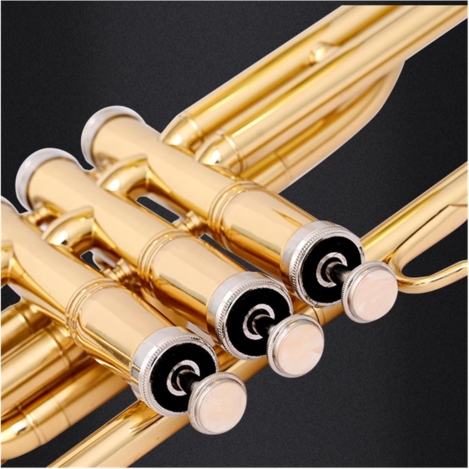 B flat tenor trombone beginner professional instrument