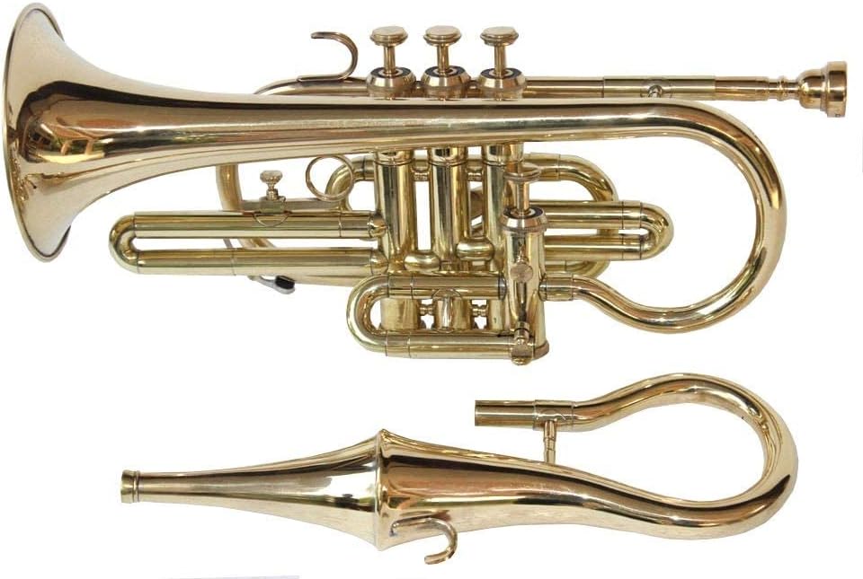 Echo Cornet Brass for Beginners & Intermediate Players Bb Key with Mouthpiece, Carrying Case Compact Brass Wind Instrument for Band, Orchestra & Jazz