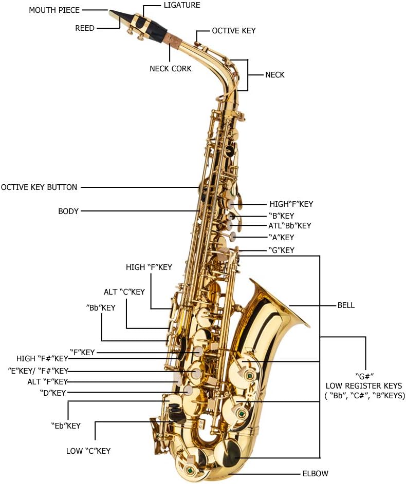 Stylish Mid-range Alto Drop E Saxophone,Professional Alto Eb SAX Saxophone, Alto Saxophone with Cushions,case,carekit (Gold)