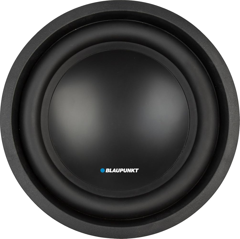 BLAUPUNKT BPW-HX100D 10-inch X-Series 500W/1000W (RMS/MAX) Dual 4-OHM CAR Audio SUBWOOFER SUB