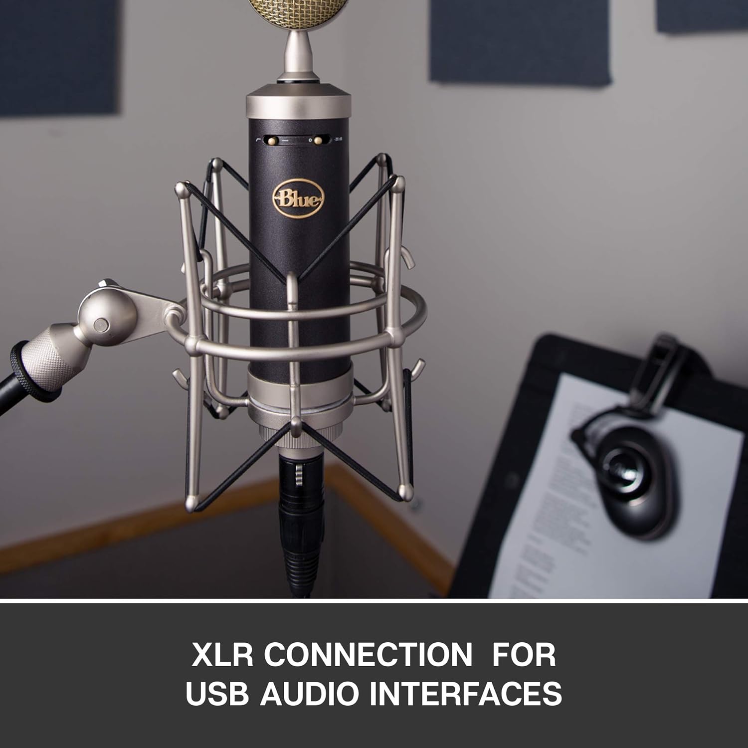 Blue Microphones Baby Bottle SL Large-Diaphragm Condenser Microphone (Renewed)