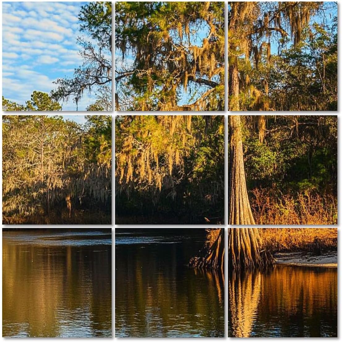 Art Acoustic Panels Self Adhesive suwannee river tree swamp pictures royalty photos 9 Packs Decorative Soundproof Wall Panels Large Sound Absorbing Panels for Home Office 60