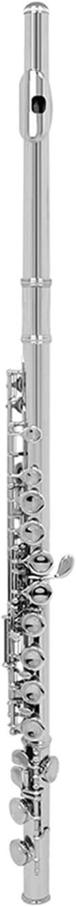 Flutes 16 Holes Flute C Tone Closed Hole Silver Plated Cupronickel Woodwind Instrument with Leather Case