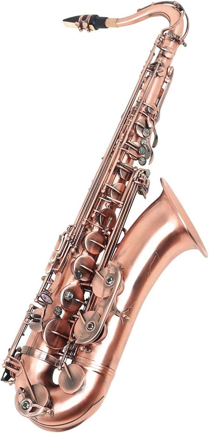 Beginner saxophone Tenor Saxophone Professional Brass Bb Sax With Woodwind Instrument With Saxophone Accessories (Color : 01)