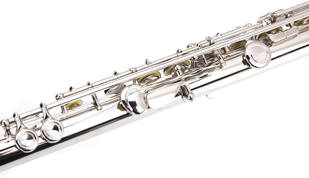 Closed Hole Flutes C 16 Key with E Key kit for Beginner, Kids, Student,Cupronickel Flute with Joint Grease,Cleaning Rod, Carrying Case