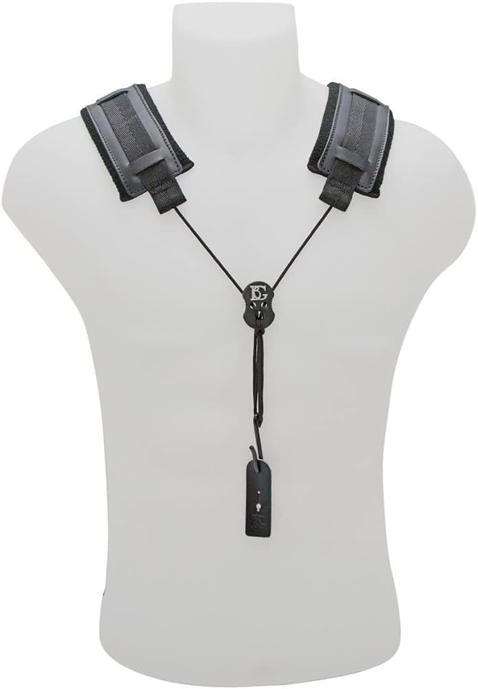 BG(0002698761) Alto Horn, (CCE)