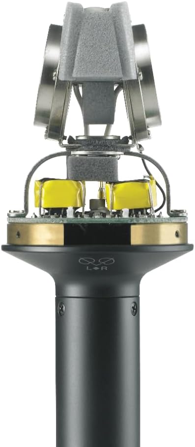 Audio Technica BP4025 X/Y Stereo Field Recording Microphone Bundle w/Pig Hog PHM10 8mm XLR Mic Cable, Pop Filter Polishing Cloth