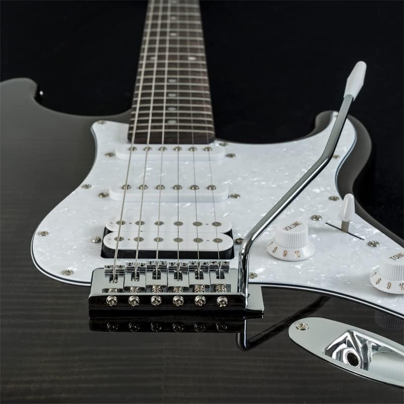 Washburn Sonamaster SDFTB Deluxe Electric Guitar, Transparent Black (SDFTB)