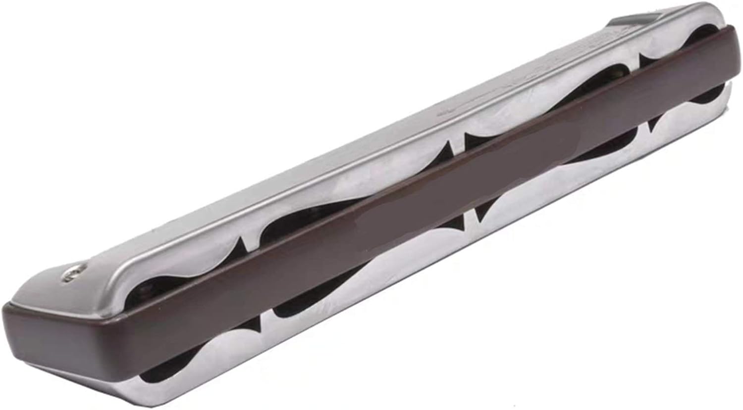 SUOFEILAIMU Tremolo Harmonica Key of C 24 Holes Harp Phosphor Bronze Reeds ABS Comb Musical Instruments (Color : Key of D)