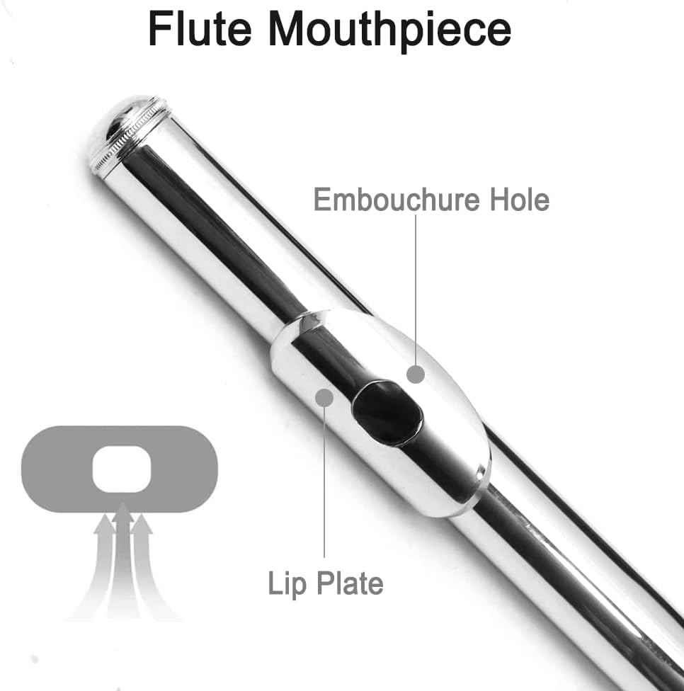 Vetimobato 17 Keys C Flute Closed Hole for Beginners, Students, Adults and Professionals– Nickel Siver Flute with Hard Case, Cleaning Kit, Tuning Rod – Easy to Play