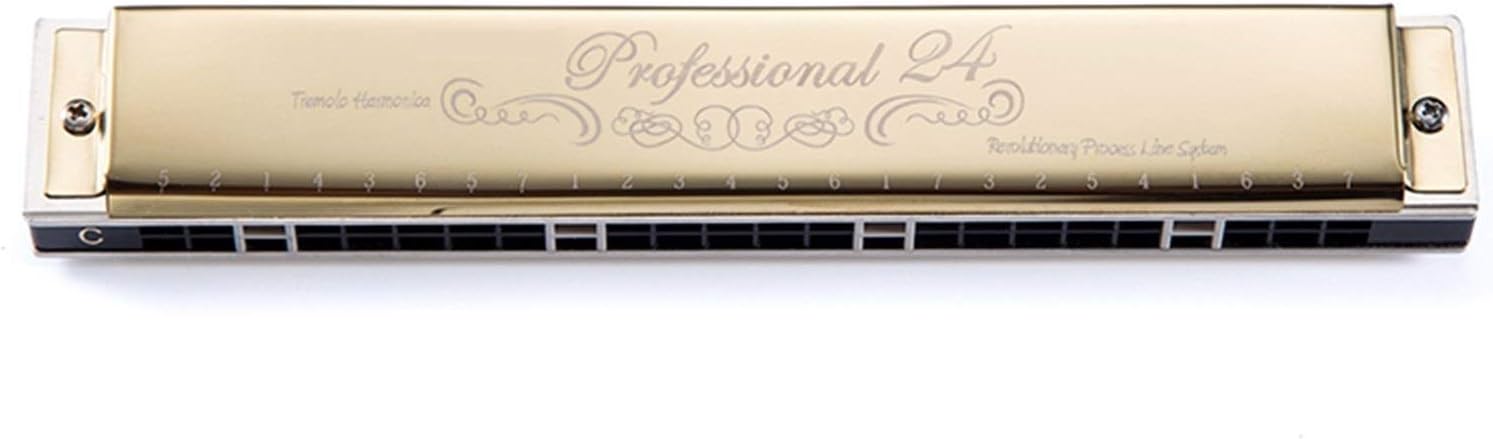 Harmonica Tremolo Harmonica 24 Holes for Beginners Mouth Organ Key of C/D/E/F/G/A Musical Instruments Gaita (Color : Key of D)