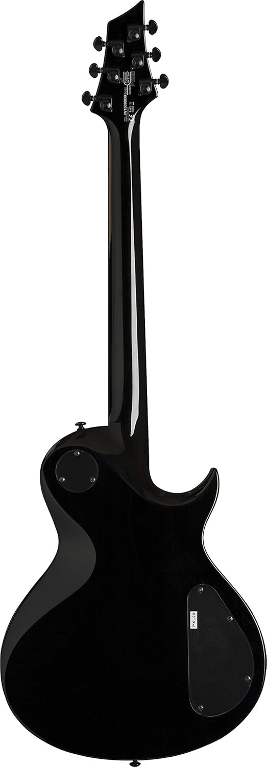 Other 6 String Solid-Body Electric Guitar, Right, Gloss Black (Other)