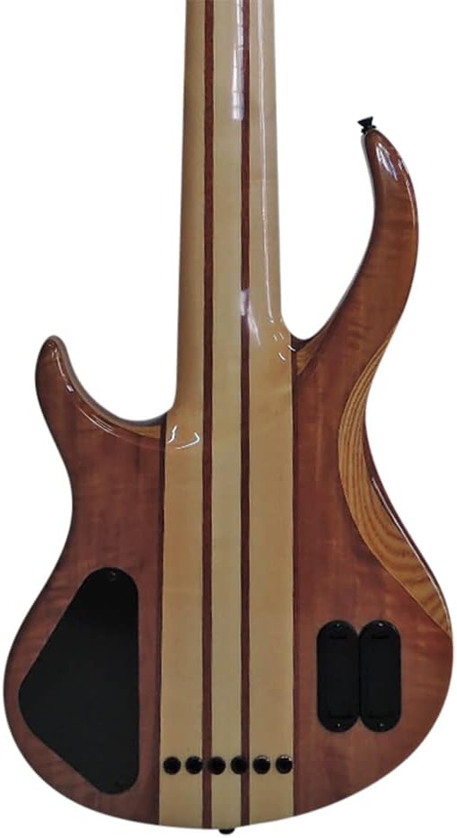 IYV IBSY-600 Neck-through Sycamore top Multi-ply 6-string Bass