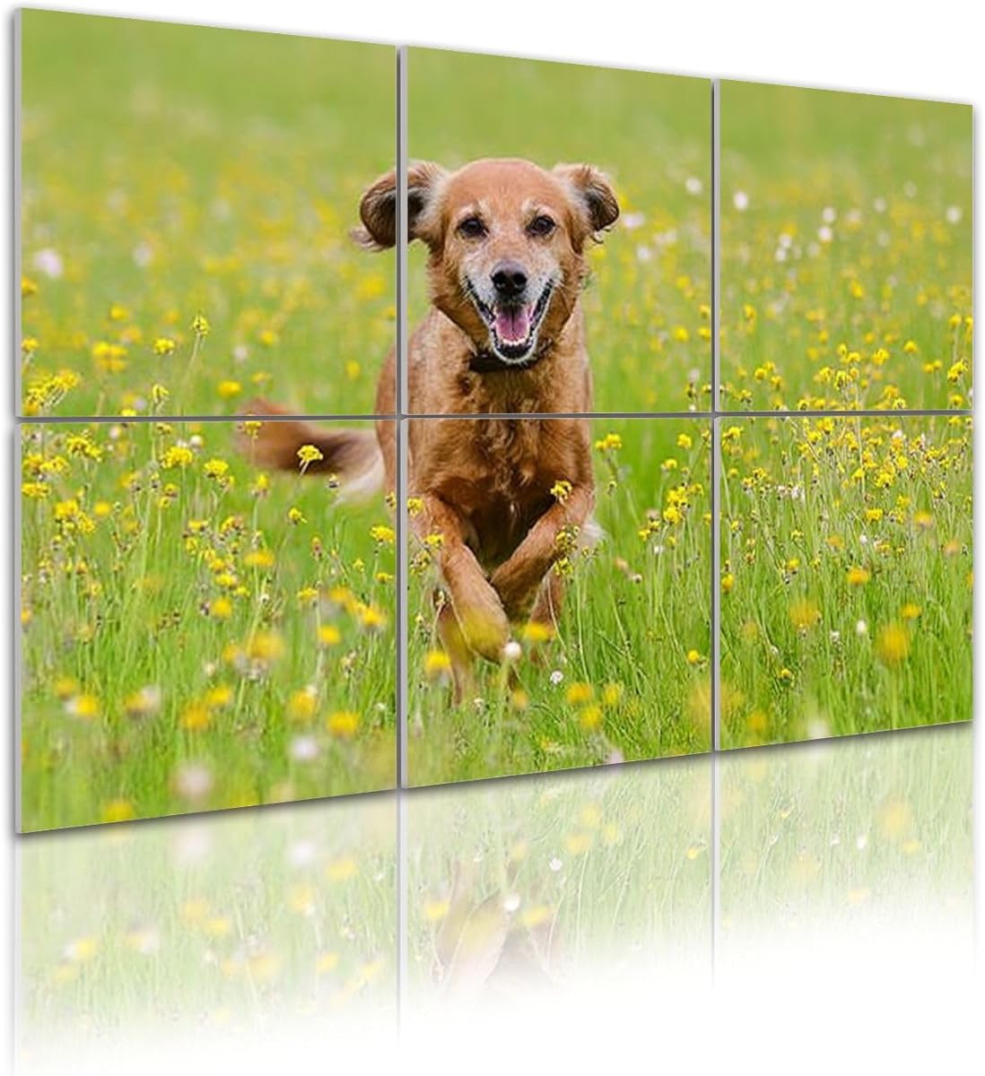 6 Pack Art Acoustic Panels Pure Joy Sound Absorbing Panel 48