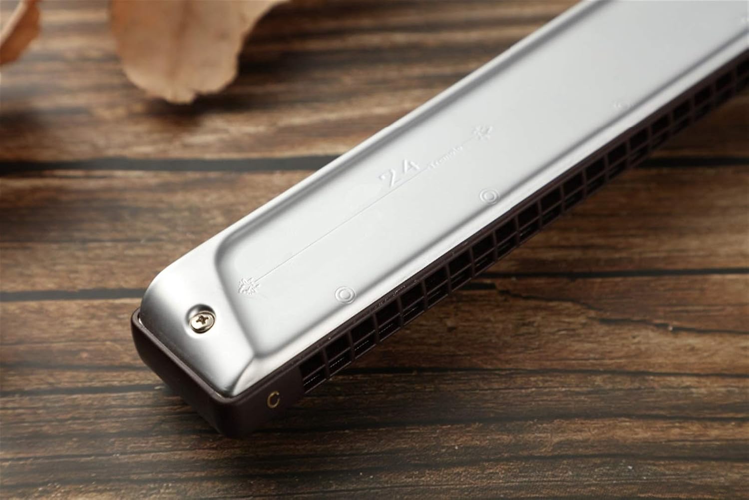 SUOFEILAIMU Professinal 2420 Tremolo Harmonica (Color : Lavender)