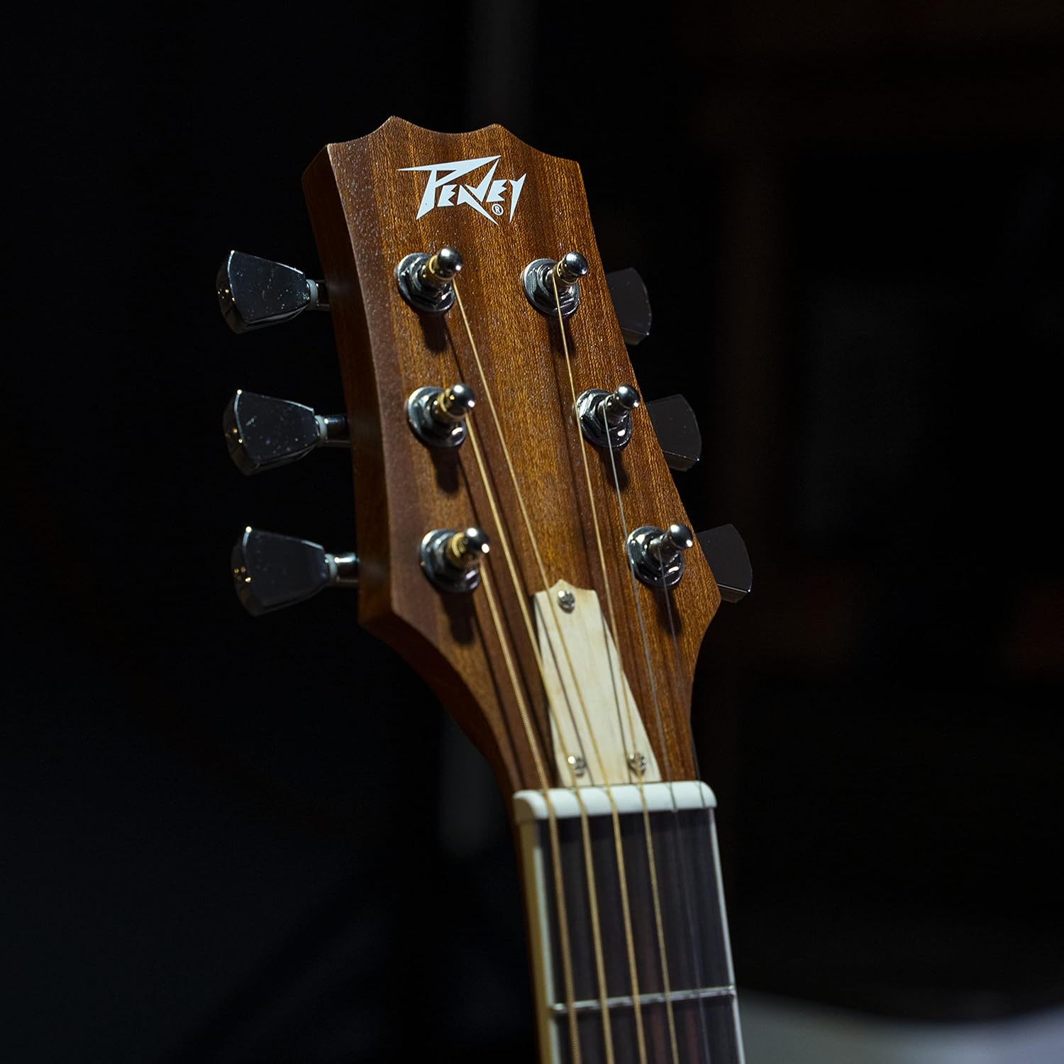 Peavey Delta Woods™ DW-2™ Solid Top Dreadnought Acoustic Guitar