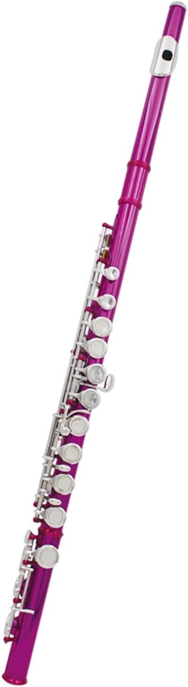 Flute 16 Holes C Tone Flute with E Key Woodwind Instrument Closed Key Cupronickel Tube Flute with Box Flutes Musical Instruments