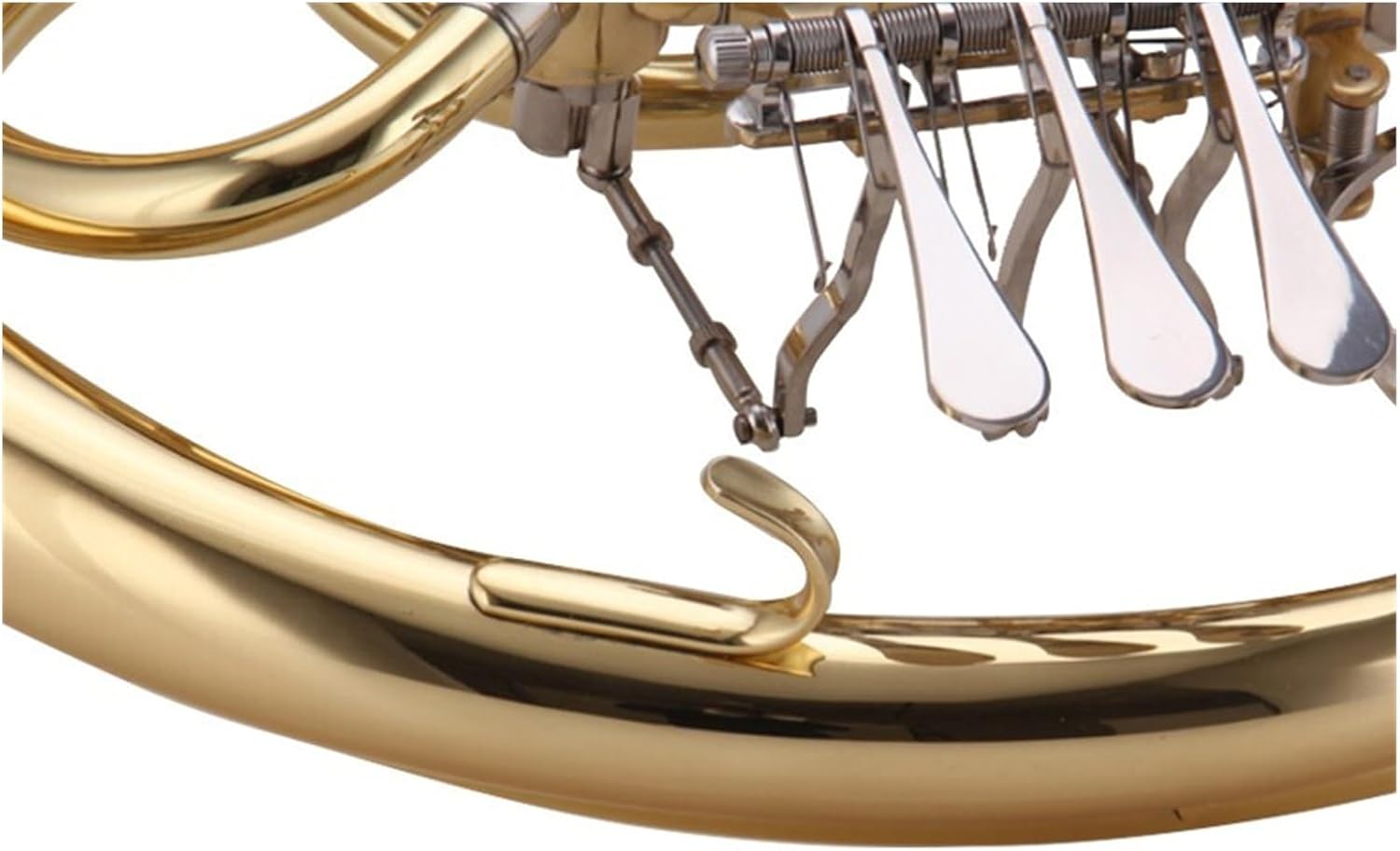 French Horn B flat key beginner 4 key single row lacquered gold instrument